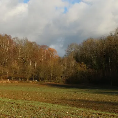 De Charme : L'ancienne Grange Gasthof *