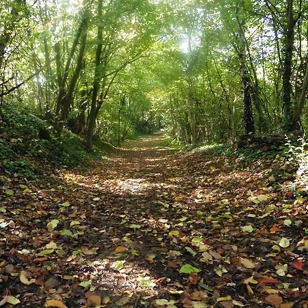 Penzion De Charme : L'ancienne Grange Chivres-Val